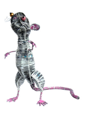 Rat blanc